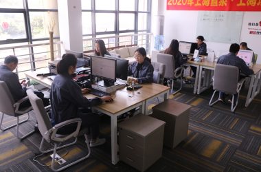 Фабрички поглед