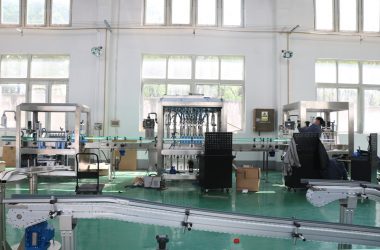 Фабрички поглед